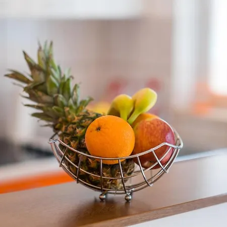 Apartment Stasic